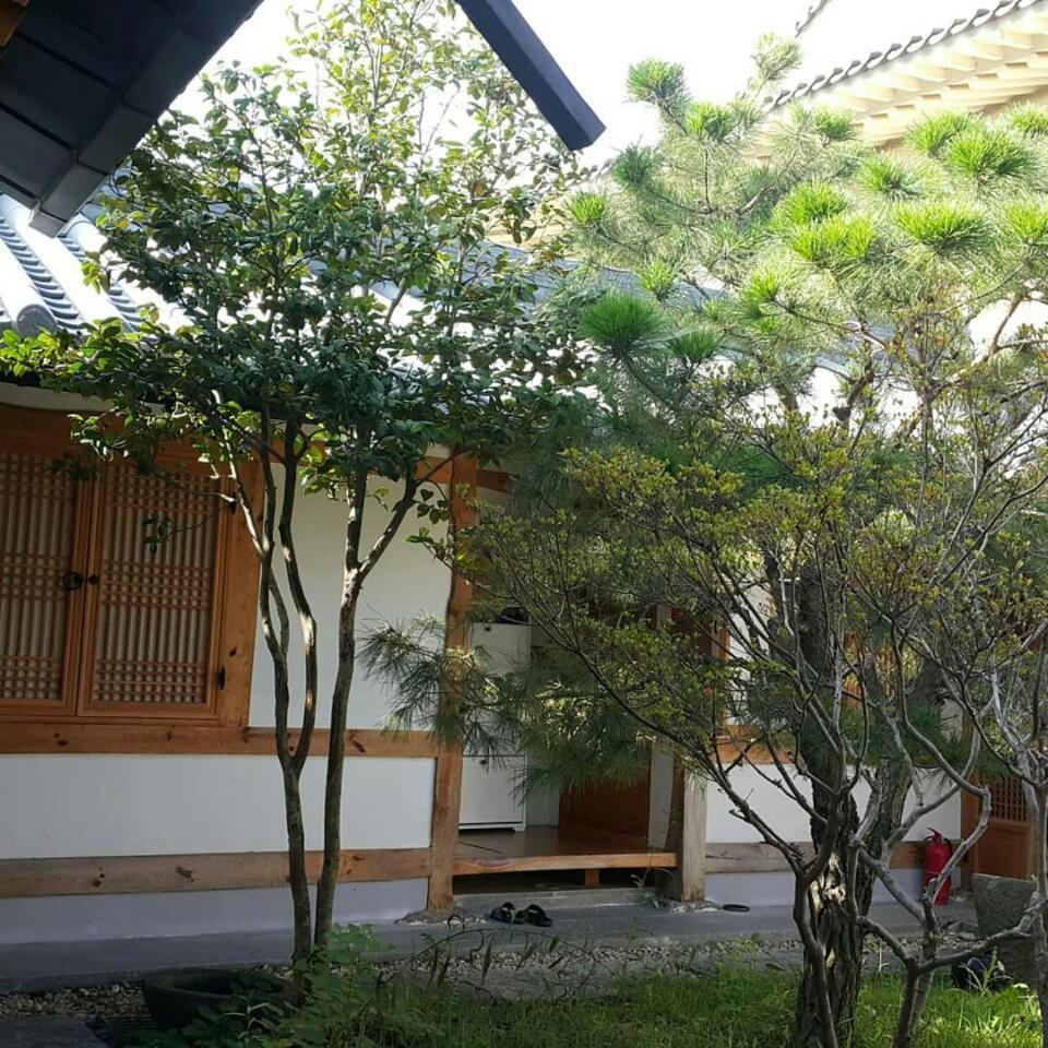 Sarangnamoo Hanok Guesthouse Jeonju Bagian luar foto